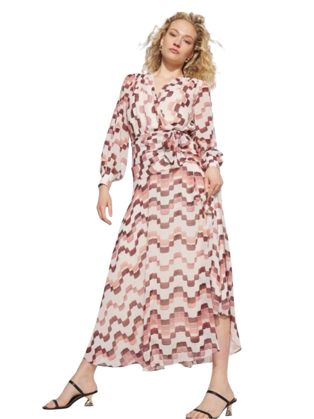 NWT WHBM Brown & Ivory Chiffon Maxi Dress Size 4